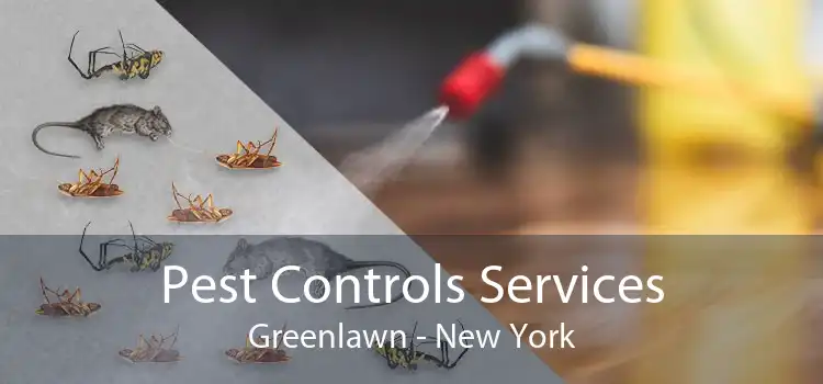 Pest Controls Services Greenlawn - New York