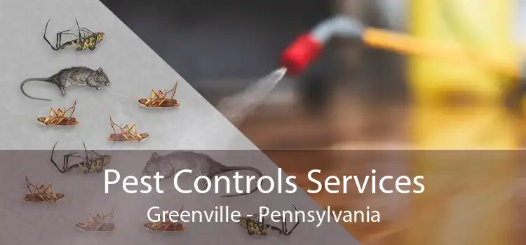 Pest Controls Services Greenville - Pennsylvania