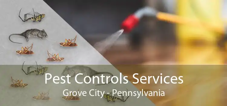 Pest Controls Services Grove City - Pennsylvania