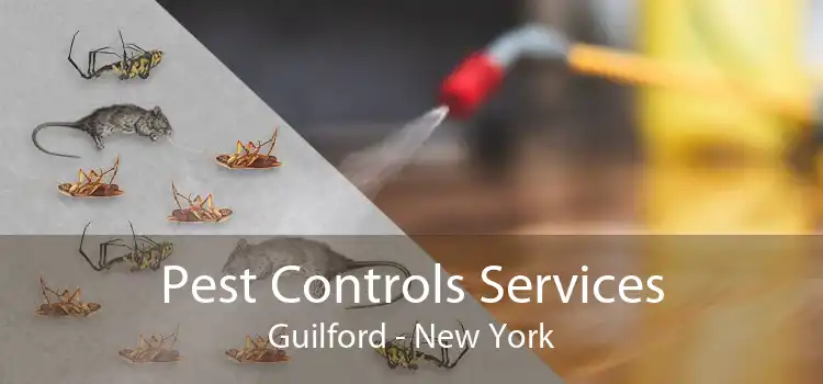Pest Controls Services Guilford - New York