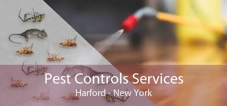 Pest Controls Services Harford - New York