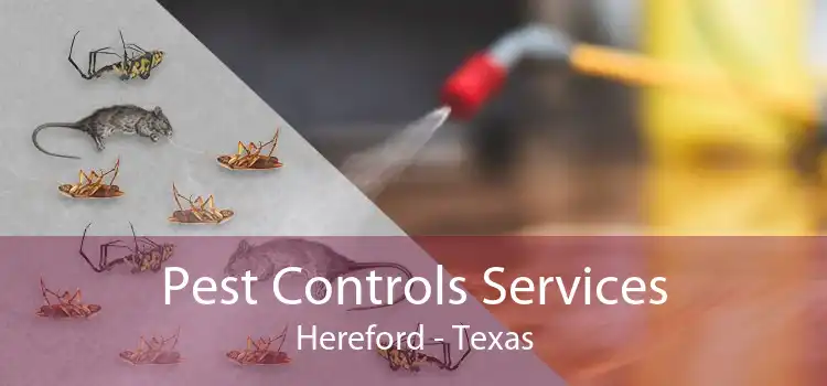 Pest Controls Services Hereford - Texas