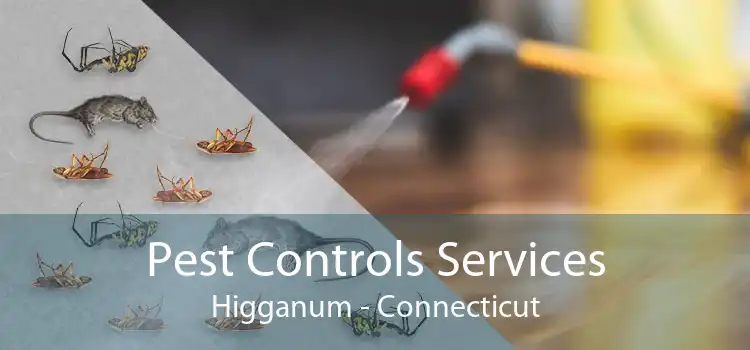 Pest Controls Services Higganum - Connecticut