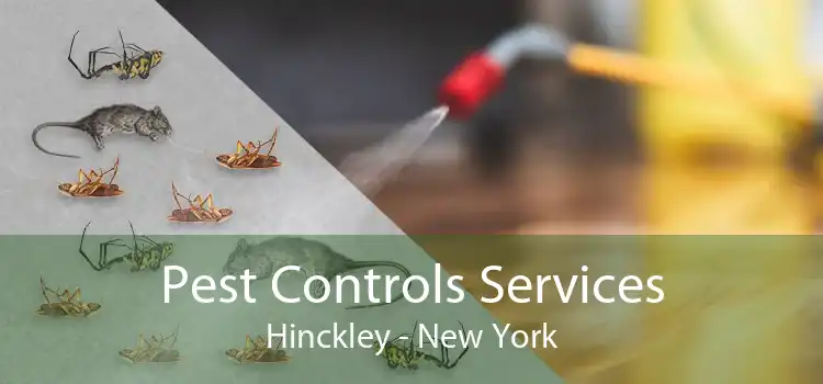 Pest Controls Services Hinckley - New York