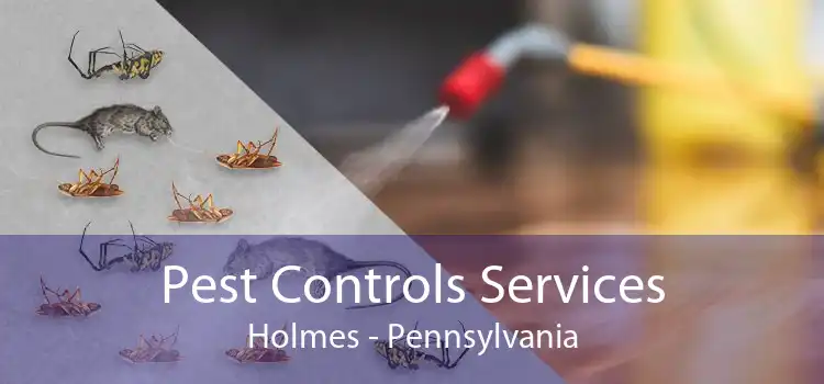 Pest Controls Services Holmes - Pennsylvania