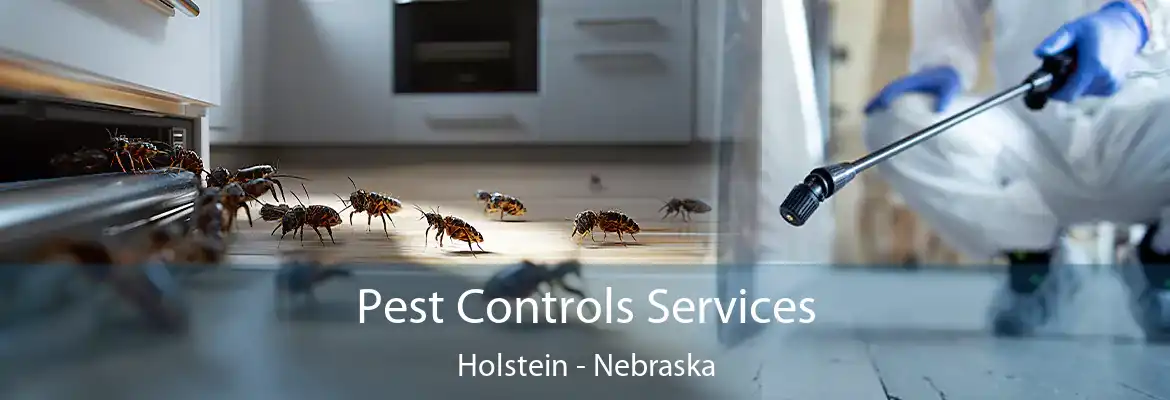 Pest Controls Services Holstein - Nebraska
