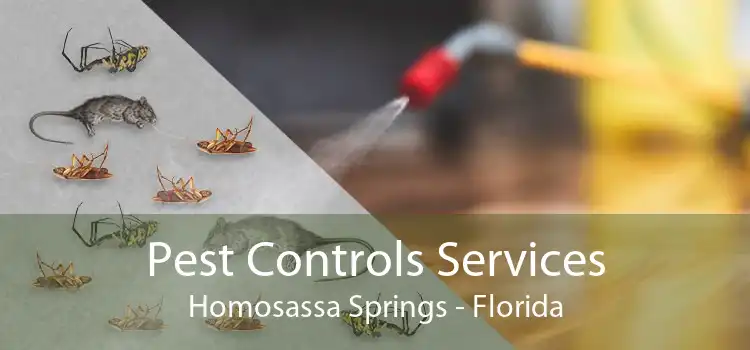 Pest Controls Services Homosassa Springs - Florida