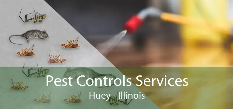 Pest Controls Services Huey - Illinois