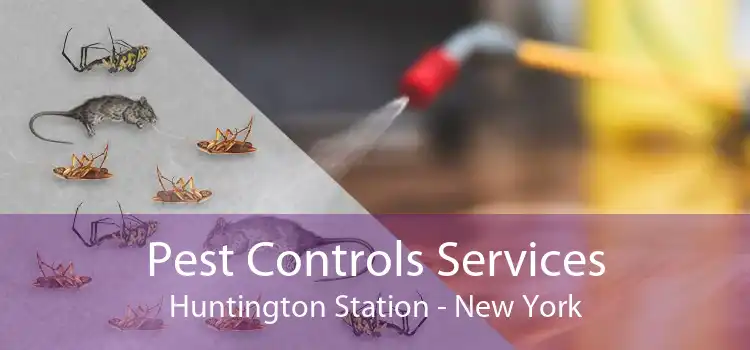 Pest Controls Services Huntington Station - New York