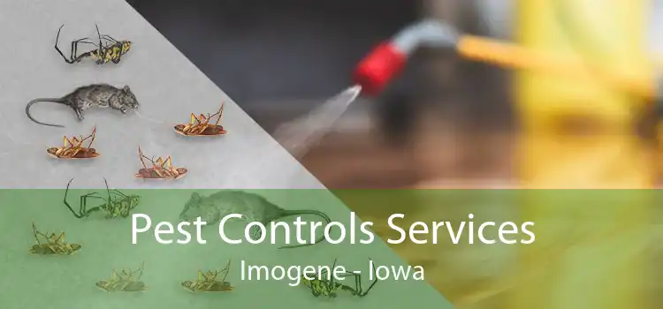 Pest Controls Services Imogene - Iowa