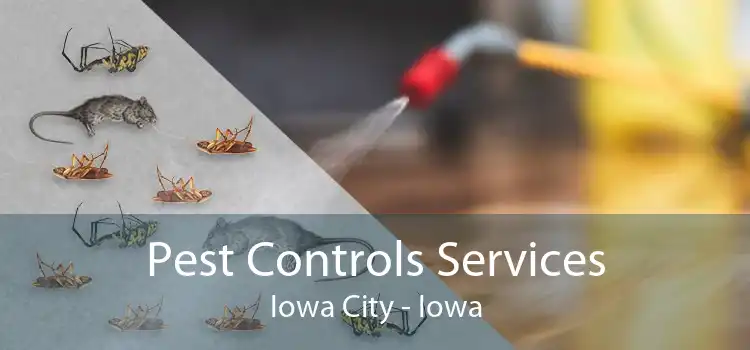 Pest Controls Services Iowa City - Iowa