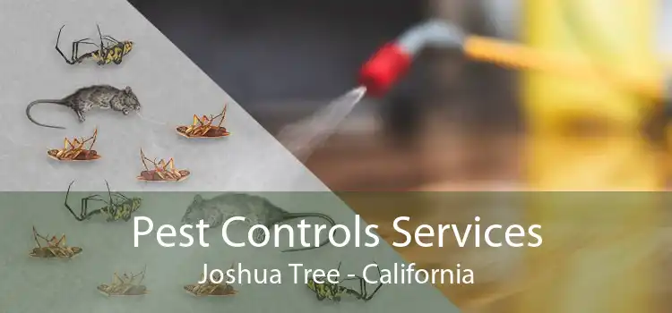 Pest Controls Services Joshua Tree - California