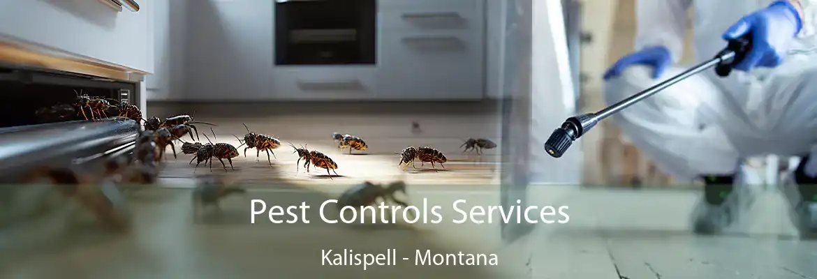 Pest Controls Services Kalispell - Montana