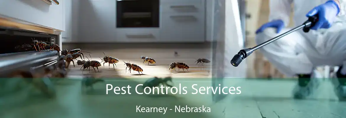 Pest Controls Services Kearney - Nebraska