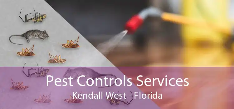 Pest Controls Services Kendall West - Florida