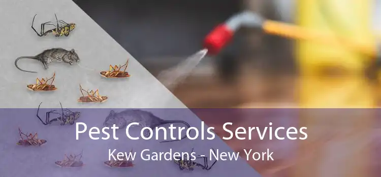 Pest Controls Services Kew Gardens - New York