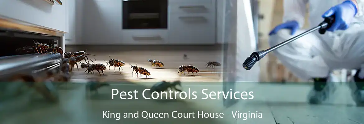 Pest Controls Services King and Queen Court House - Virginia