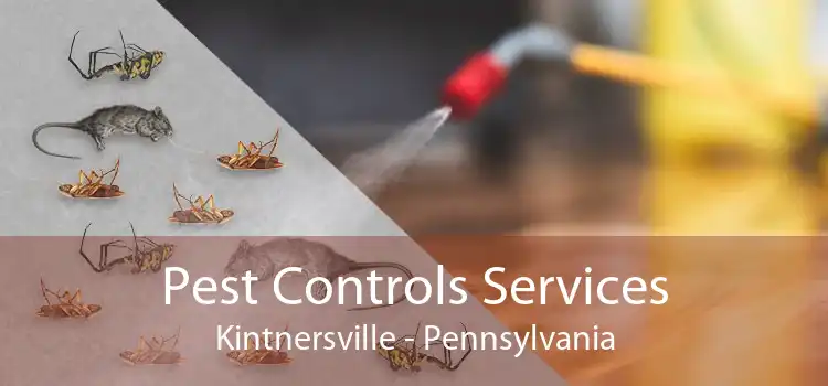 Pest Controls Services Kintnersville - Pennsylvania