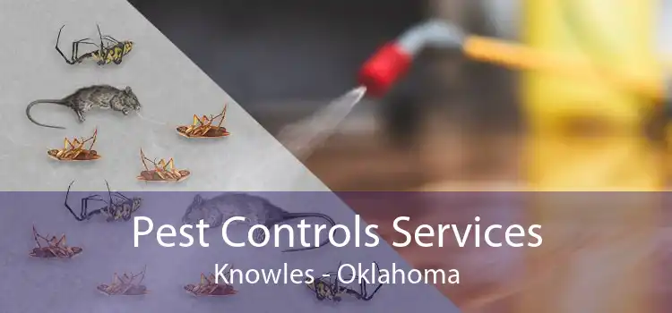 Pest Controls Services Knowles - Oklahoma