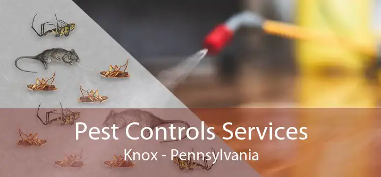 Pest Controls Services Knox - Pennsylvania