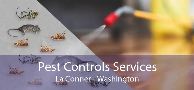 Pest Controls Services La Conner - Washington