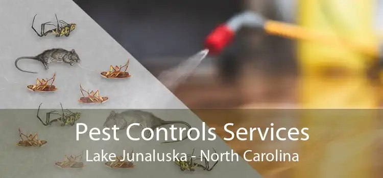 Pest Controls Services Lake Junaluska - North Carolina