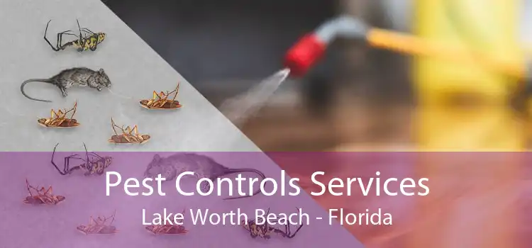 Pest Controls Services Lake Worth Beach - Florida