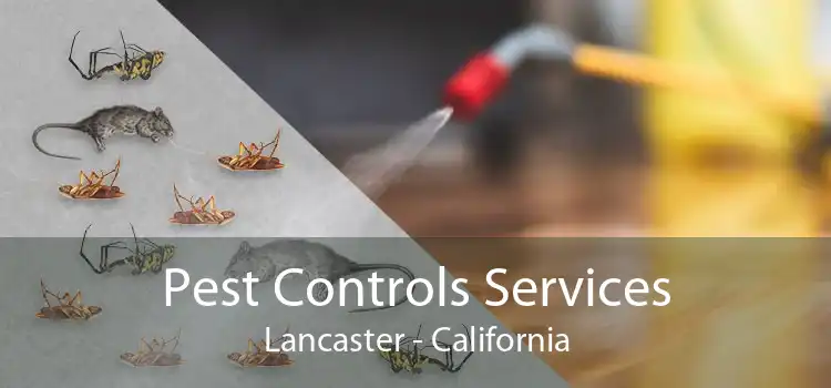 Pest Controls Services Lancaster - California