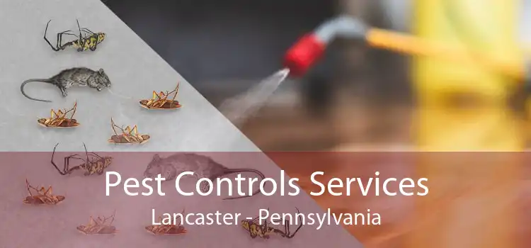 Pest Controls Services Lancaster - Pennsylvania
