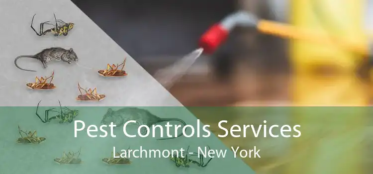 Pest Controls Services Larchmont - New York