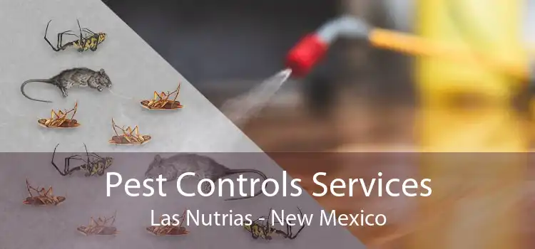 Pest Controls Services Las Nutrias - New Mexico