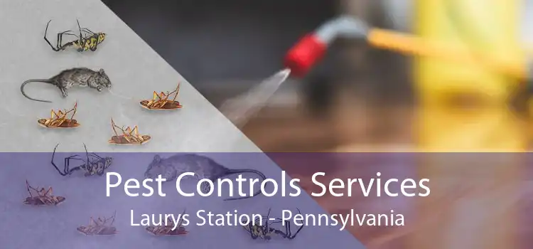 Pest Controls Services Laurys Station - Pennsylvania