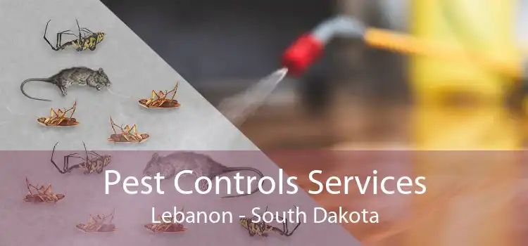 Pest Controls Services Lebanon - South Dakota