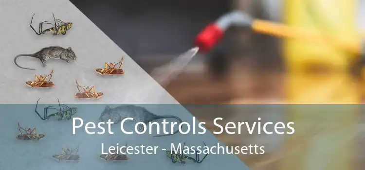 Pest Controls Services Leicester - Massachusetts