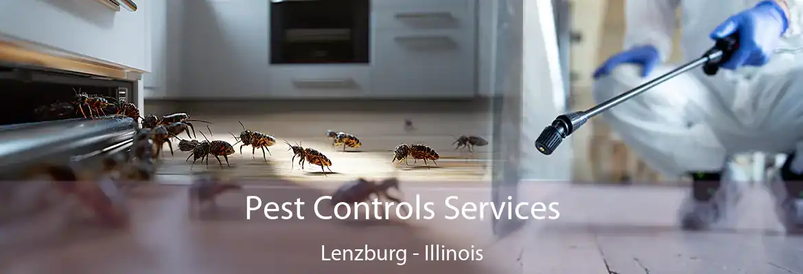 Pest Controls Services Lenzburg - Illinois