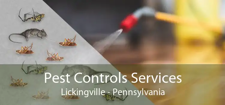 Pest Controls Services Lickingville - Pennsylvania