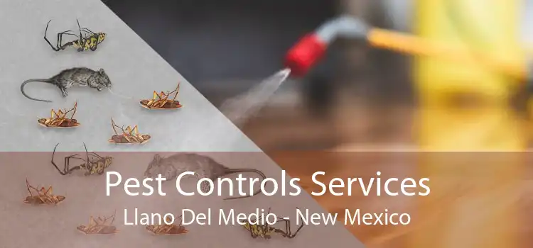 Pest Controls Services Llano Del Medio - New Mexico