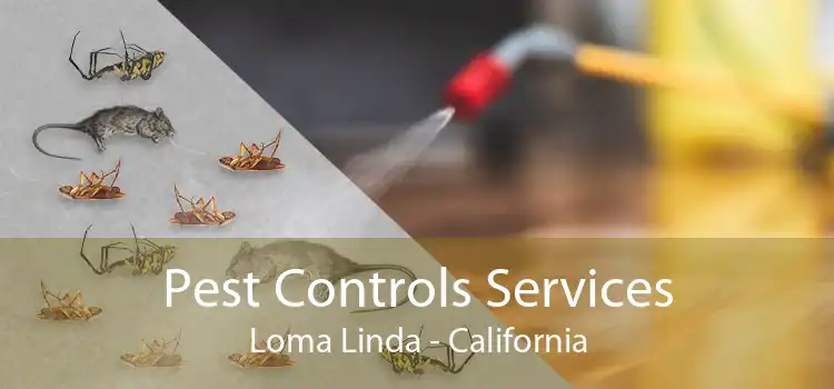 Pest Controls Services Loma Linda - California