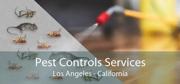 Pest Controls Services Los Angeles - California