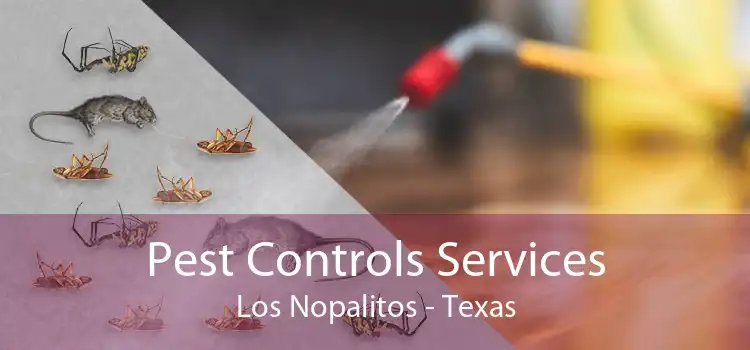 Pest Controls Services Los Nopalitos - Texas