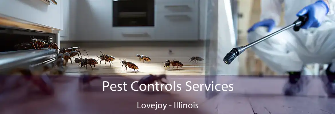 Pest Controls Services Lovejoy - Illinois