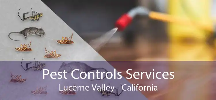 Pest Controls Services Lucerne Valley - California