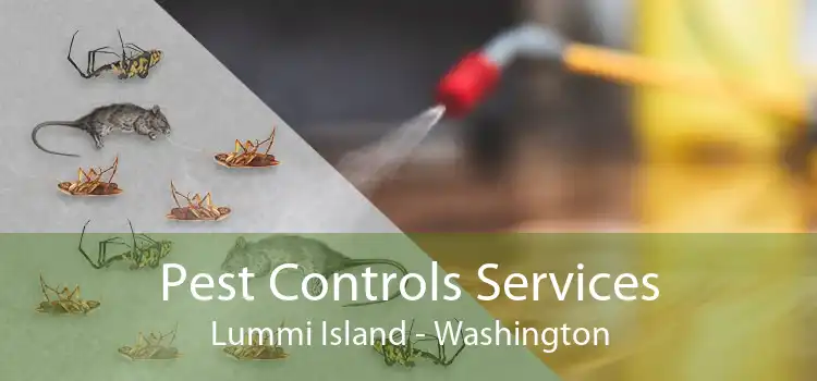 Pest Controls Services Lummi Island - Washington