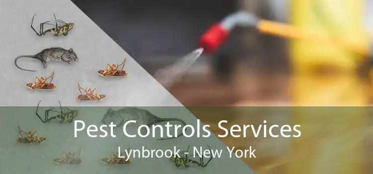 Pest Controls Services Lynbrook - New York
