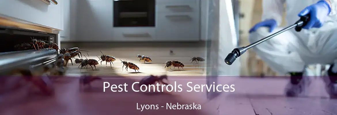 Pest Controls Services Lyons - Nebraska