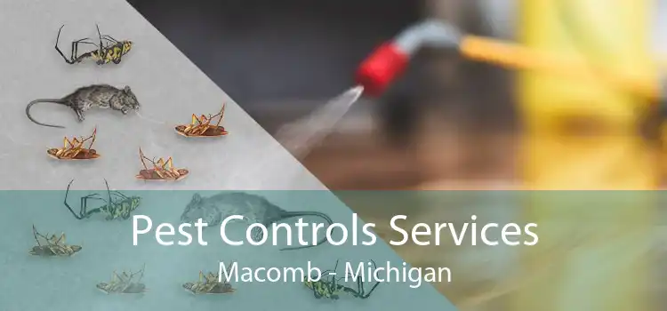Pest Controls Services Macomb - Michigan