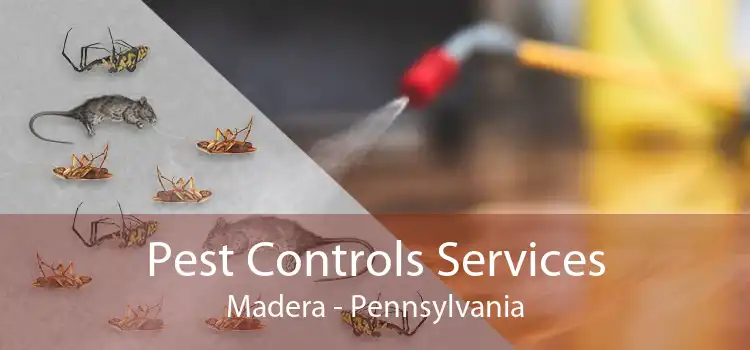 Pest Controls Services Madera - Pennsylvania