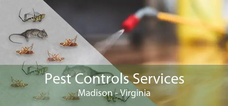 Pest Controls Services Madison - Virginia