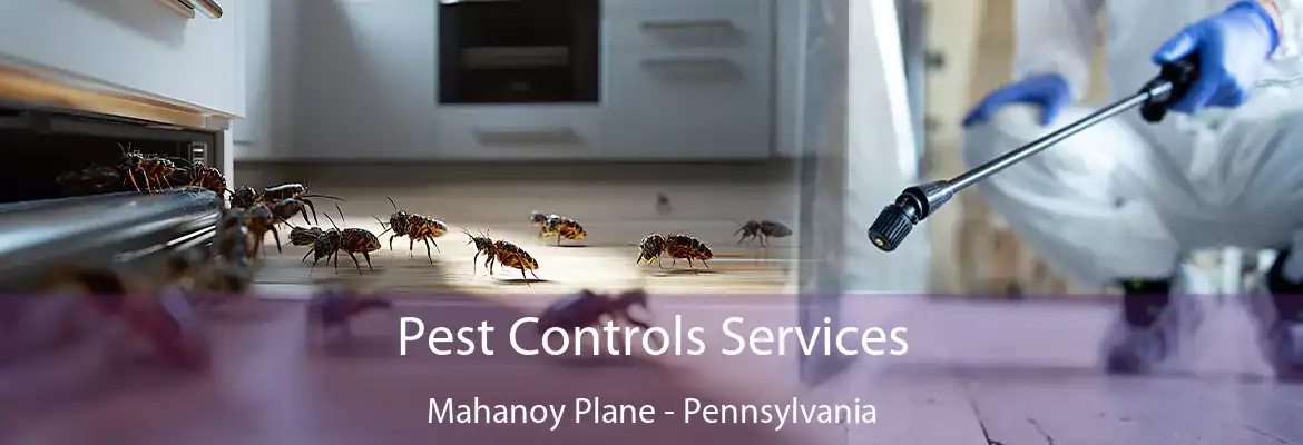 Pest Controls Services Mahanoy Plane - Pennsylvania