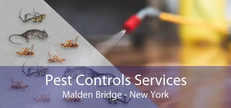 Pest Controls Services Malden Bridge - New York